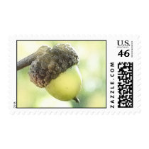 Acorn Postage