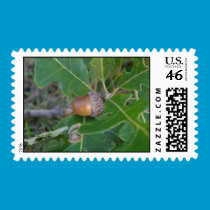 Acorn Postage Stamp stamps