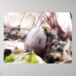 Acorn Sprout In The Early Spring Garden Print