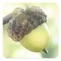 Acorn Stickers