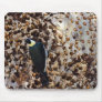 Acorn Woodpecker Mousepads