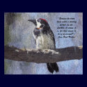 Acorn Woodpecker Prints and Posters by Granny_Pats_Gifts Acorn Woodpecker Prints and Posters