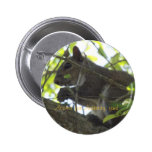 Acorns for Austerity buttons