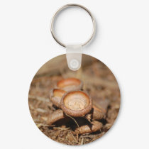 Acorns In The Forest keychains