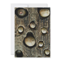 Acorns in tree foothills, High Sierra, California, Personalized Announcement