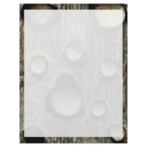 Acorns in tree foothills, High Sierra, California, Customized Letterhead