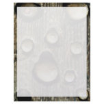 Acorns in tree foothills, High Sierra, California, Customized Letterhead