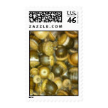 Acorns Stamp