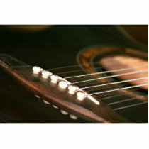 acoustic guitar bridge pins close up.jpg acrylic cut outs