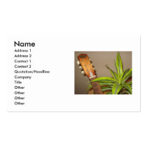 Acoustic Guitar business card