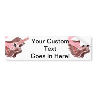 Acoustic guitar painting red version one arm bumpersticker
