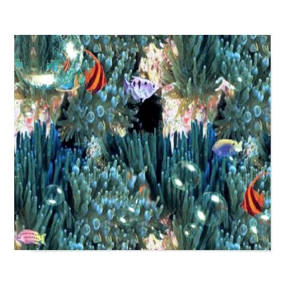 Acquatic Life Poster by elenaind