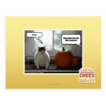 Act cool postcards