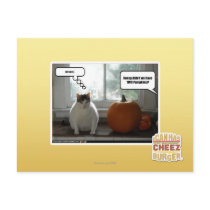 Act cool post card