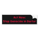 Act Now:Stop Genocide In Darfur bumper stickers by c4ster Act Now:Stop Genocide In Darfur bumper stickers