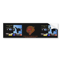 Actikarate Series bumper stickers