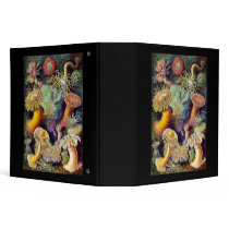 Actiniae illustration painting Germa Ernst Haeckel 3 Ring Binders