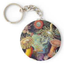 Actiniae illustration painting Germa Ernst Haeckel Key Chains