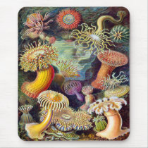 Actiniae illustration painting Germa Ernst Haeckel Mouse Pad