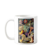 Actiniae illustration painting Germa Ernst Haeckel Coffee Mugs