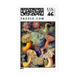 Actiniae illustration painting Germa Ernst Haeckel Postage Stamps
