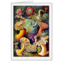 Actiniae (Sea Anemones), Ernst Haeckel cards by vintagetreasurechest Actiniae (Sea Anemones), Ernst Haeckel cards