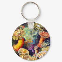 Actiniae (Sea Anemones), Ernst Haeckel keychains