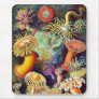 Actiniae (Sea Anemones), Ernst Haeckel Mouse Pads