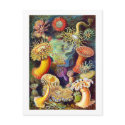 Actiniae (Sea Anemones), Ernst Haeckel postcards
