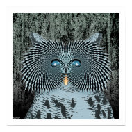 Action Owl print