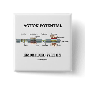 Action Potential Embedded Within (Cell Junctions) button