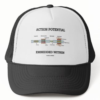 Action Potential Embedded Within (Cell Junctions) hat