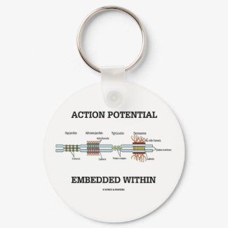 Action Potential Embedded Within (Cell Junctions) keychain