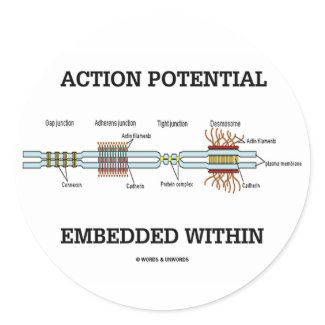 Action Potential Embedded Within (Cell Junctions) sticker