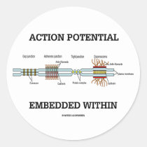 Action Potential Embedded Within (Cell Junctions) Sticker
