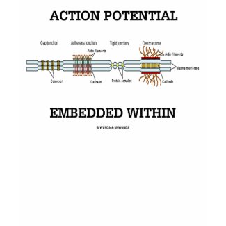 Action Potential Embedded Within (Cell Junctions) shirt