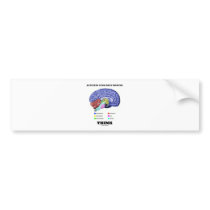 Activate Your Grey Matter Think (Anatomical Brain) Bumper Stickers