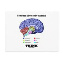 Activate Your Grey Matter Think (Anatomical Brain) Postcard