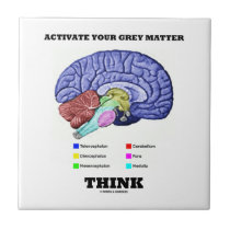 Activate Your Grey Matter Think (Brain Anatomy) Tile
