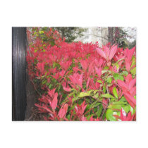active picture postcards by alanart active picture postcards