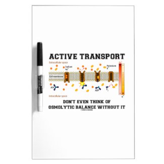Active Transport Don't Think Of Osmolytic Balance Dry Erase White Board
