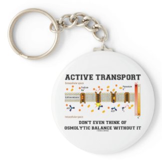 Active Transport Don't Think Of Osmolytic Balance Keychains