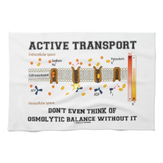 Active Transport Don't Think Of Osmolytic Balance Towels