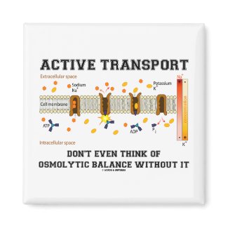 Active Transport Don't Think Of Osmolytic Balance magnet
