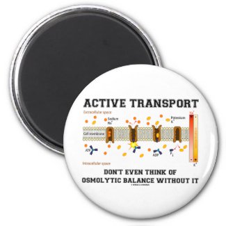 Active Transport Don't Think Of Osmolytic Balance Magnets