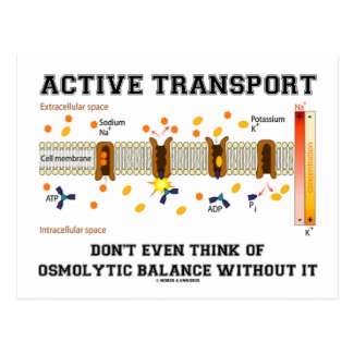 Active Transport Don't Think Of Osmolytic Balance Post Cards
