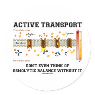 Active Transport Don't Think Of Osmolytic Balance sticker