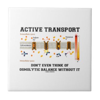 Active Transport Don't Think Of Osmolytic Balance Tile