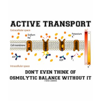 Active Transport Don't Think Of Osmolytic Balance shirt