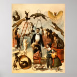 Acto entrenado 1899 del perro - acto de circo del  poster